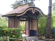 San Fran Vacation 117